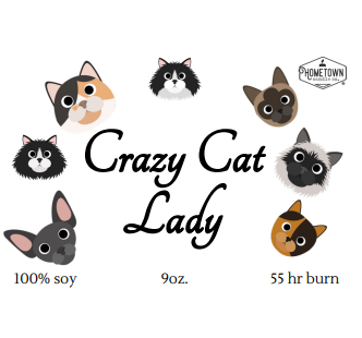 Pet Lovers: Crazy Cat Lady (2)